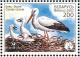 Colnect-1058-238-White-Stork-Ciconia-ciconia.jpg