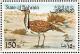 Colnect-1463-388-Houbara-Bustard-Chlamydotis-undulata.jpg