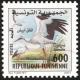 Colnect-6306-001-White-Stork-Ciconia-ciconia.jpg