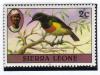 Colnect-1023-529-Olive-bellied-Sunbird-Cinnyris-chloropygius.jpg