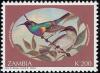 Colnect-1502-674-Oustalet-s-Sunbird-Cinnyris-oustaleti.jpg