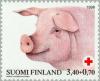 Colnect-160-458-Boar-Sus-scrofa-domestica.jpg