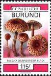 Colnect-2048-476-Russula-brunneorigida.jpg