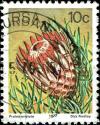 Colnect-5238-390-Ladismith-Sugarbush-Protea-aristata.jpg