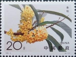 Colnect-1561-867-Sweet-Osmanthus.jpg