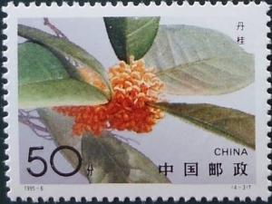 Colnect-1561-869-Sweet-Osmanthus.jpg