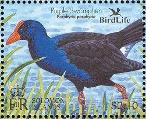 Colnect-3742-513-Australasian-Swamphen-Porphyrio-melanotus.jpg