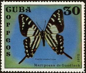 Colnect-4828-608-Cuban-Kite-Swallowtail-Papilio-celadon.jpg