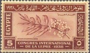 Colnect-4547-047-International-Leprosy-Congress---Branch-of-Hydnocarpus.jpg