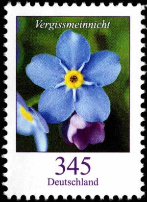 Colnect-5205-850-Myosotis-sylvatica---Forget-me-not.jpg