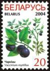 Colnect-1058-272-Bilberries---Vaccinium-myrtillus-.jpg