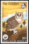 Colnect-1462-470-Verreaux--s-Eagle-Owl-Bubo-lacteus-.jpg