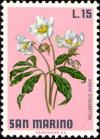 Colnect-1874-663-Christmas-Rose-Helleborus-niger.jpg