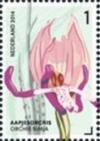 Colnect-2107-817-Orchis-Simia-Monkey-Orchid.jpg