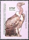 Colnect-2395-324-R-uuml-ppell--s-Vulture-nbsp-Gyps-rueppellii.jpg