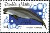 Colnect-2401-653-Indo-Pacific-Finless-Porpoise-Neophocaena-phocaenoides.jpg