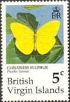 Colnect-2620-833-Cloudless-Sulphur-Phoebis-sennae.jpg