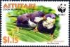 Colnect-2877-501-Blue-Lorikeets-Vini-peruviana-on-palm-leaf.jpg