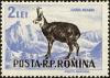 Colnect-4318-508-Chamois-Rupicapra-rupicapra.jpg