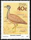 Colnect-5211-785-R-uuml-ppell--s-Bustard-Eupodotis-rueppellii.jpg