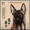 Colnect-5897-600-Malinois-Canis-lupus-familiaris-Footprints.jpg