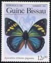 Skap-guinea_bissau_01_bflies.jpg-crop-160x199at7-199.jpg