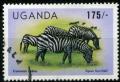 Colnect-1907-189-Burchell-rsquo-s-Zebra-Equus-quagga-burchellii.jpg