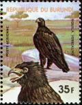 Colnect-5250-753-Verreaux--s-Eagle-Aquila-verreauxii.jpg