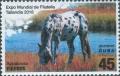 Colnect-5978-085-Horses-Equus-ferus-caballus-Appaloosa.jpg