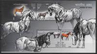 Colnect-5254-044-Indigenous-Horses-of-India-Equus-ferus-caballus.jpg