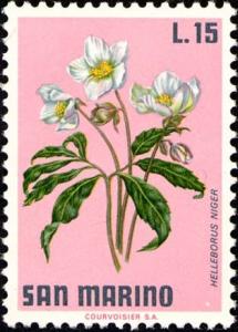 Colnect-1874-663-Christmas-Rose-Helleborus-niger.jpg