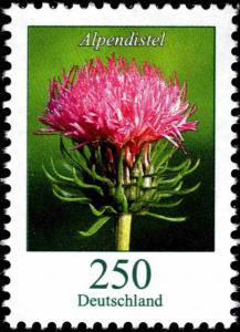 Colnect-5205-824-Carduus-defloratus---Thistle.jpg