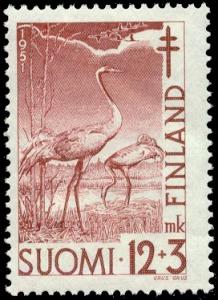 Grus-grus-1951.jpg