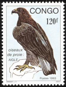 Colnect-868-355-Verreaux--s-Eagle-Aquila-verreauxii.jpg