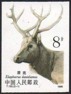 Colnect-4148-730-Pere-David--s-Deer-Elaphurus-davidianus.jpg