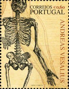 Colnect-2238-087-Andreas-Vesalius---500-Years.jpg