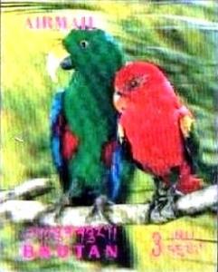 Colnect-3014-827-Eclectus-Parrot-Lorius-roratus.jpg