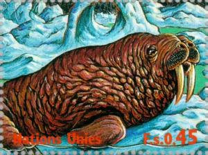 Colnect-138-618-Walrus-Odobenus-rosmarus.jpg