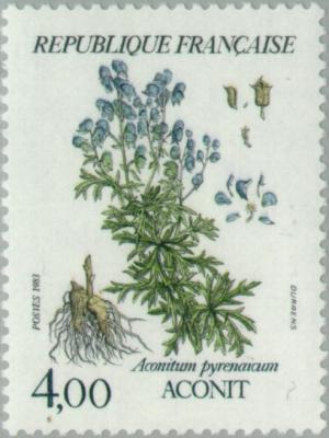 Colnect-145-506-Mountain-flowers-Aconite-Aconitum-pyrenaicum.jpg