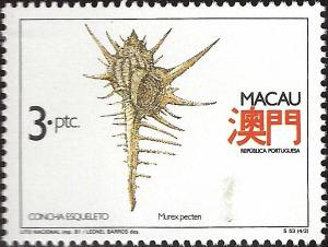 Colnect-1484-697-Venus-Comb-Murex-pecten.jpg