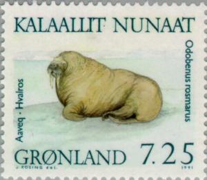 Colnect-158-463-Walrus-Odobenus-rosmarus.jpg