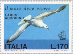 Colnect-174-111-Audouin-s-Gull-Larus-audouinii.jpg