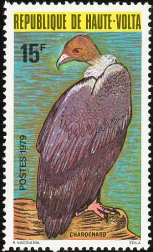 Colnect-1750-136-R%C3%BCppell-s-Vulture-Gyps-rueppellii.jpg