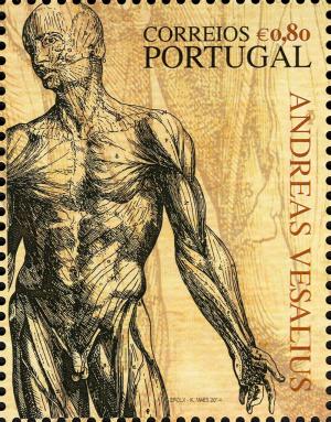 Colnect-2238-089-Andreas-Vesalius---500-Years.jpg