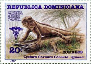 Colnect-3114-731-Rhinocerus-Iguana-Cyclura-cornuta.jpg