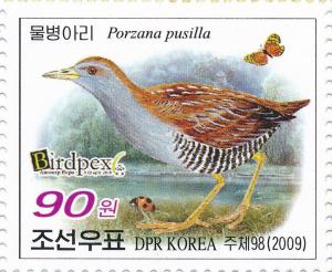 Colnect-3326-949-Baillon-s-Crake-Porzana-pusilla.jpg