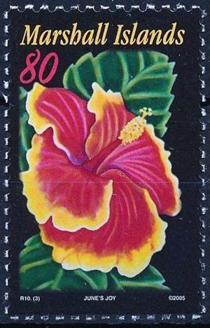 Colnect-3721-327-Hibiscus-Flowers---June-s-Joy.jpg