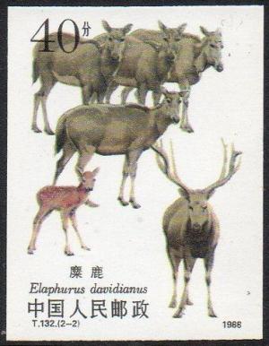 Colnect-4148-731-Pere-David--s-Deer-Elaphurus-davidianus.jpg