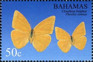 Colnect-5147-441-Cloudless-Sulphur-Phoebis-sennae.jpg