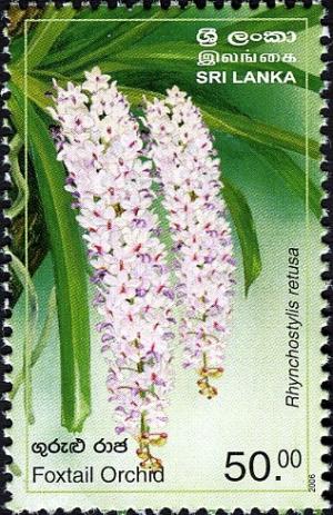 Colnect-551-567-Provincial-Flowers-of-Sri-Lanka---Foxtail-Orchid.jpg